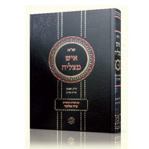 שו"ת איש מצליח החדש - ב’