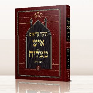 תיקון קוראים איש מצליח גדול